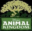 mco_Animalkingdom.jpg